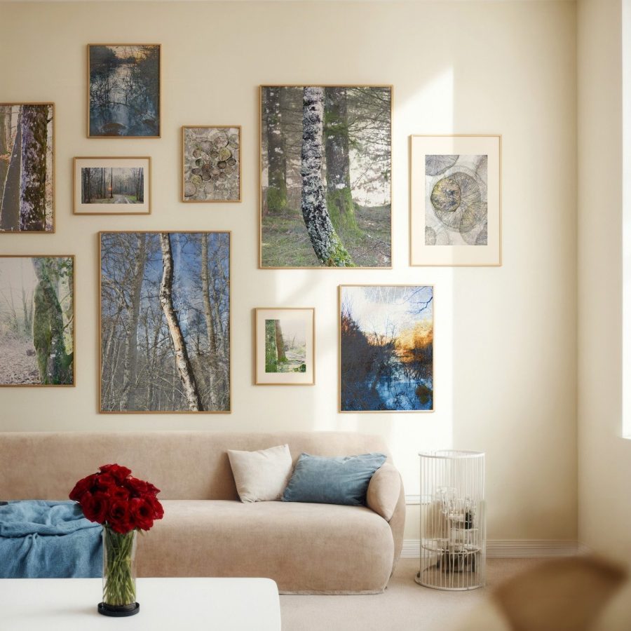 Tirages d'art en édition limitée de la collection VISIONS